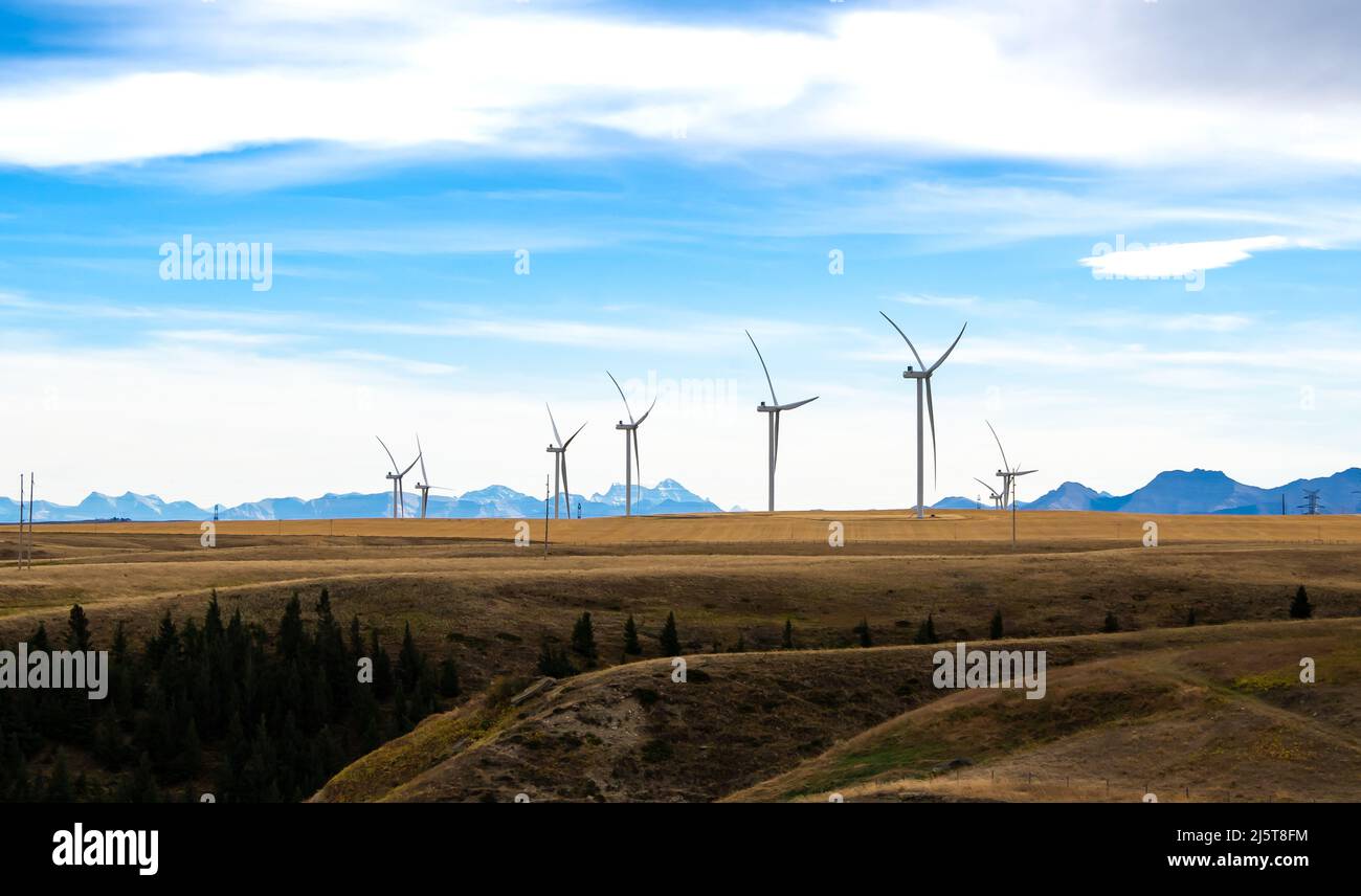 Hochstehende Windkraftanlagen erzeugen Strom mit den kanadischen Rocky Mountains im Hintergrund in der Nähe von Pincher Creek, Alberta, Kanada. Stockfoto