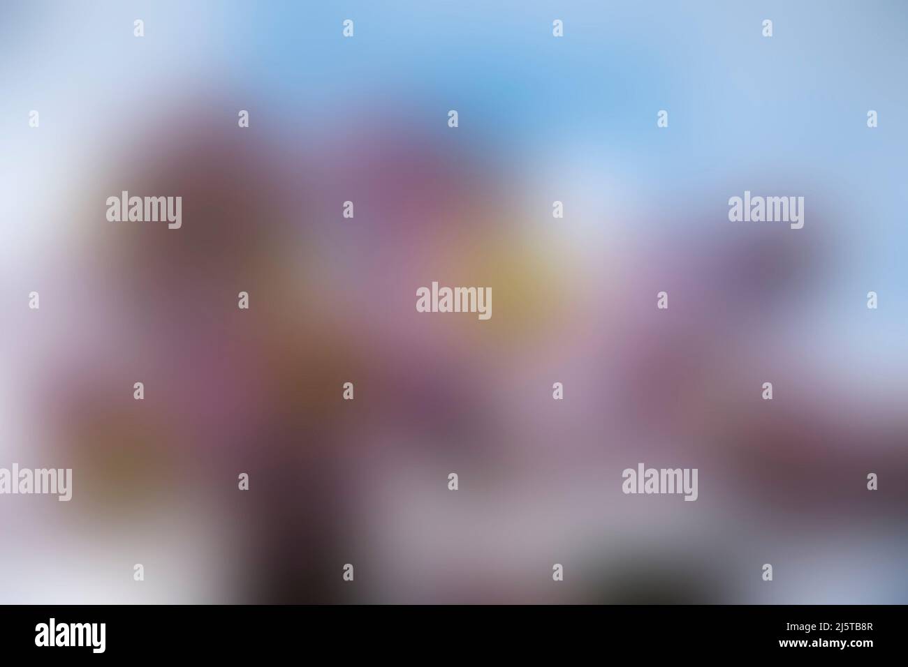 Hintergrundbild in weichen natürlichen Farben, die für Hochzeit oder Porträtfotografie verwendet werden könnte Stockfoto Hintergrundbild in weichen natürlichen Farben, die für Hochzeit oder Porträtfotografie verwendet werden könnte Stockfoto