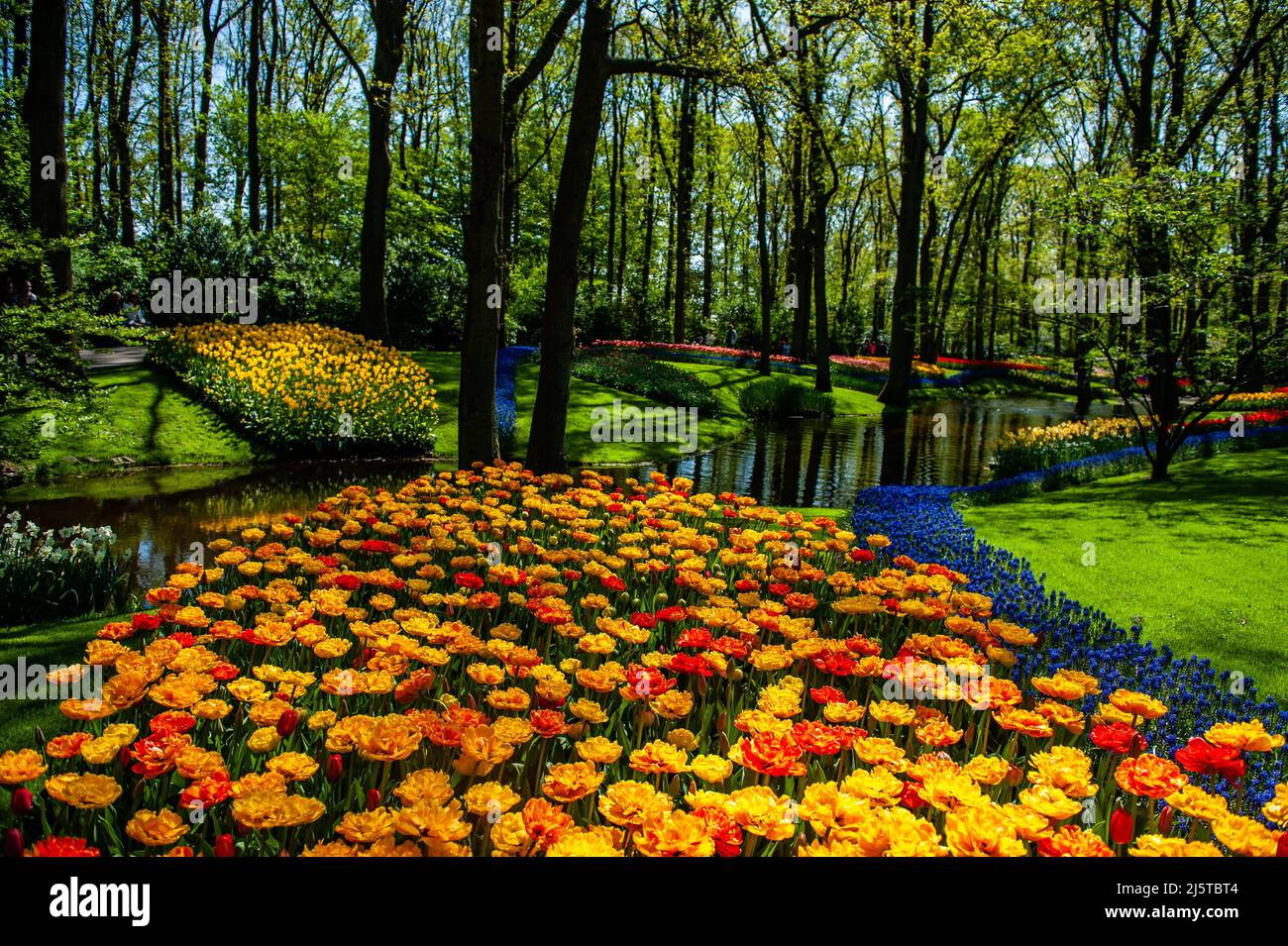 Lisse, Niederlande. 24. April 2022. Allgemeiner Blick auf die Gärten, die von einem Kanal umgeben sind. Keukenhof ist auch als der Garten Europas bekannt, einer der größten Blumengärten der Welt und befindet sich in Lisse, Niederlande. Aufgrund der Corona-Maßnahmen durfte der Park zwei Jahre lang nicht geöffnet werden. Schließlich können die Besucher die florale Pracht wieder richtig erleben. Kredit: SOPA Images Limited/Alamy Live Nachrichten Stockfoto