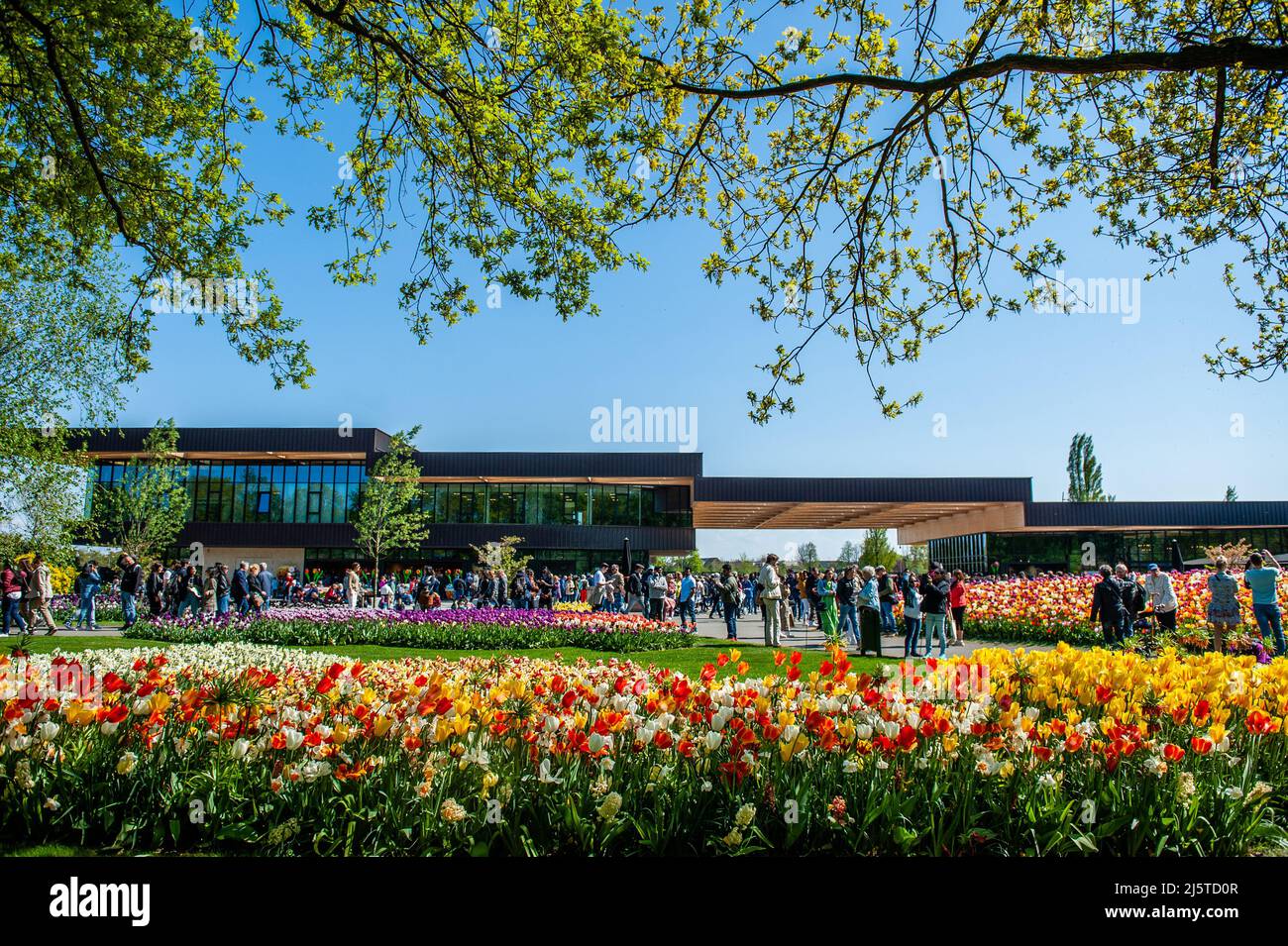 Lisse, Niederlande. 24. April 2022. Allgemeine Ansicht des Eingangs voller Touristen. Keukenhof ist auch als der Garten Europas bekannt, einer der größten Blumengärten der Welt und befindet sich in Lisse, Niederlande. Aufgrund der Corona-Maßnahmen durfte der Park zwei Jahre lang nicht geöffnet werden. Schließlich können die Besucher die florale Pracht wieder richtig erleben. (Foto: Ana Fernandez/SOPA Images/Sipa USA) Quelle: SIPA USA/Alamy Live News Stockfoto