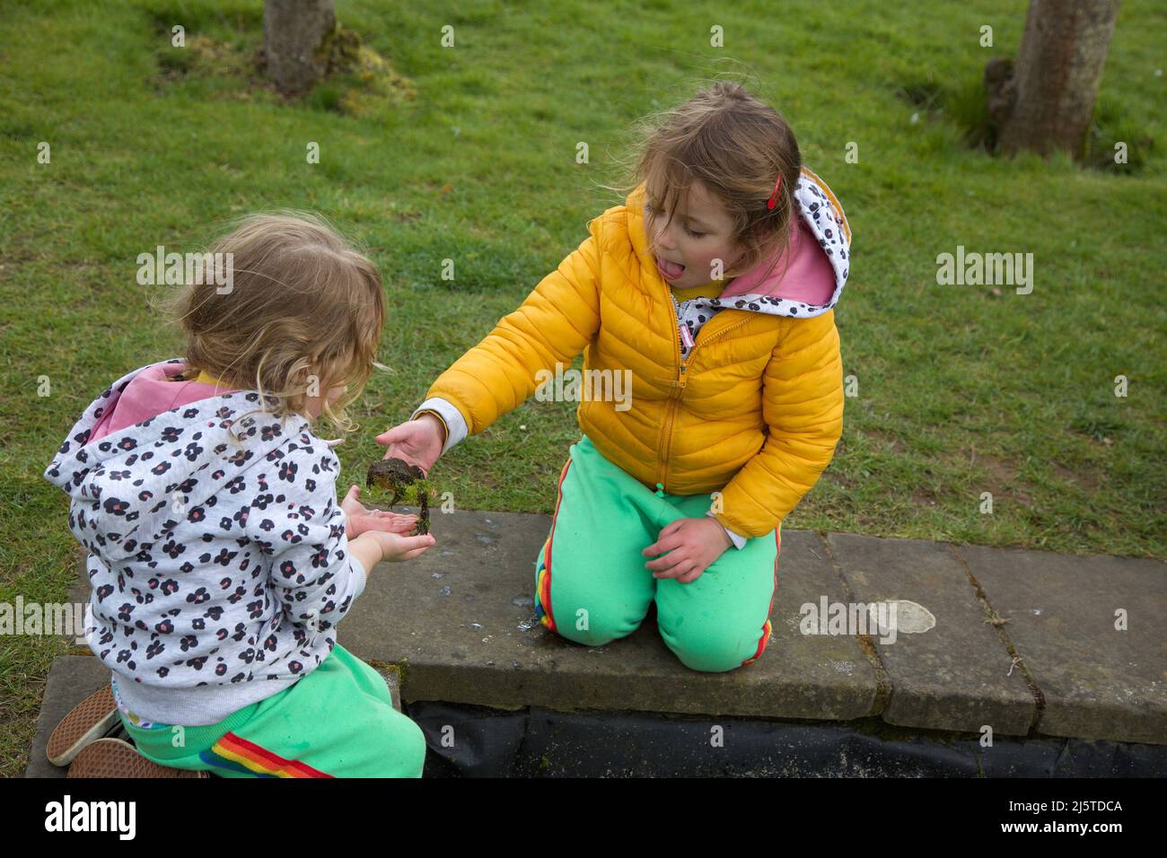 Kinder, die Frösche in einem Teich suchen, U.K. Stockfoto