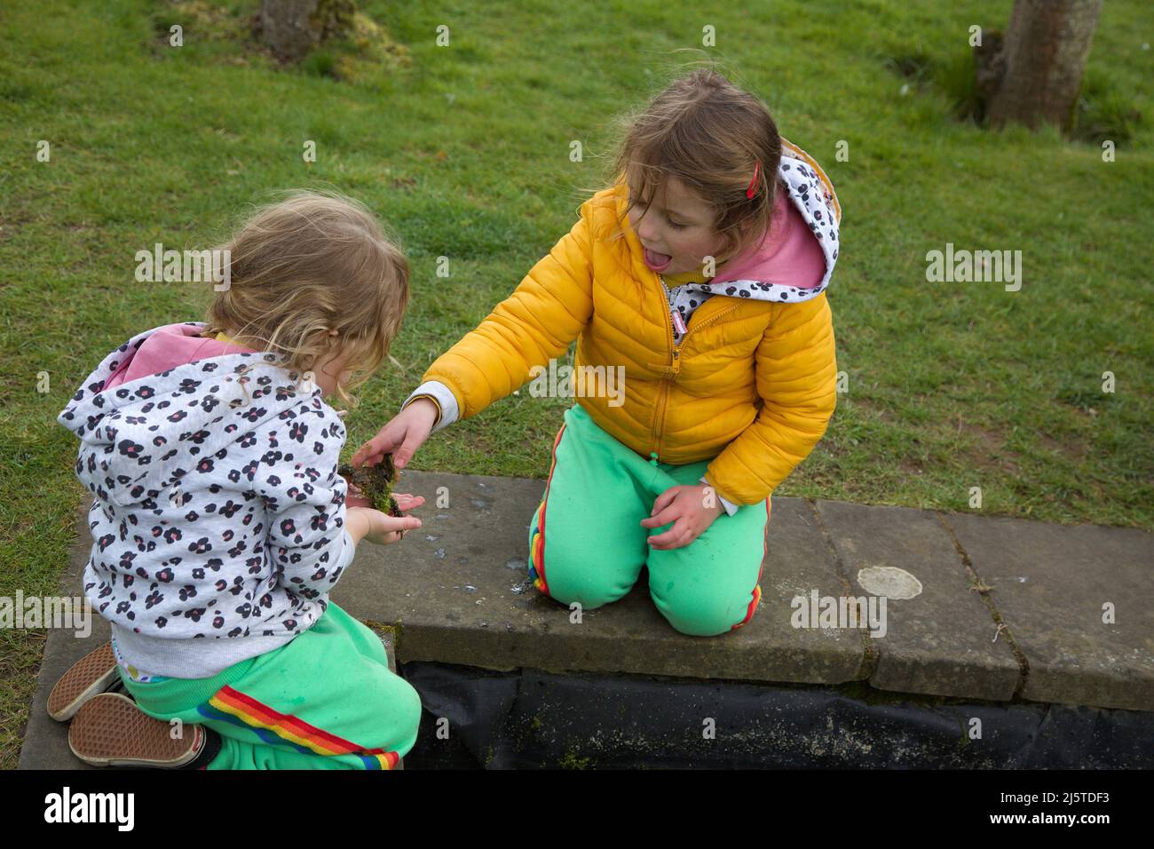 Kinder, die Frösche in einem Teich suchen, U.K. Stockfoto