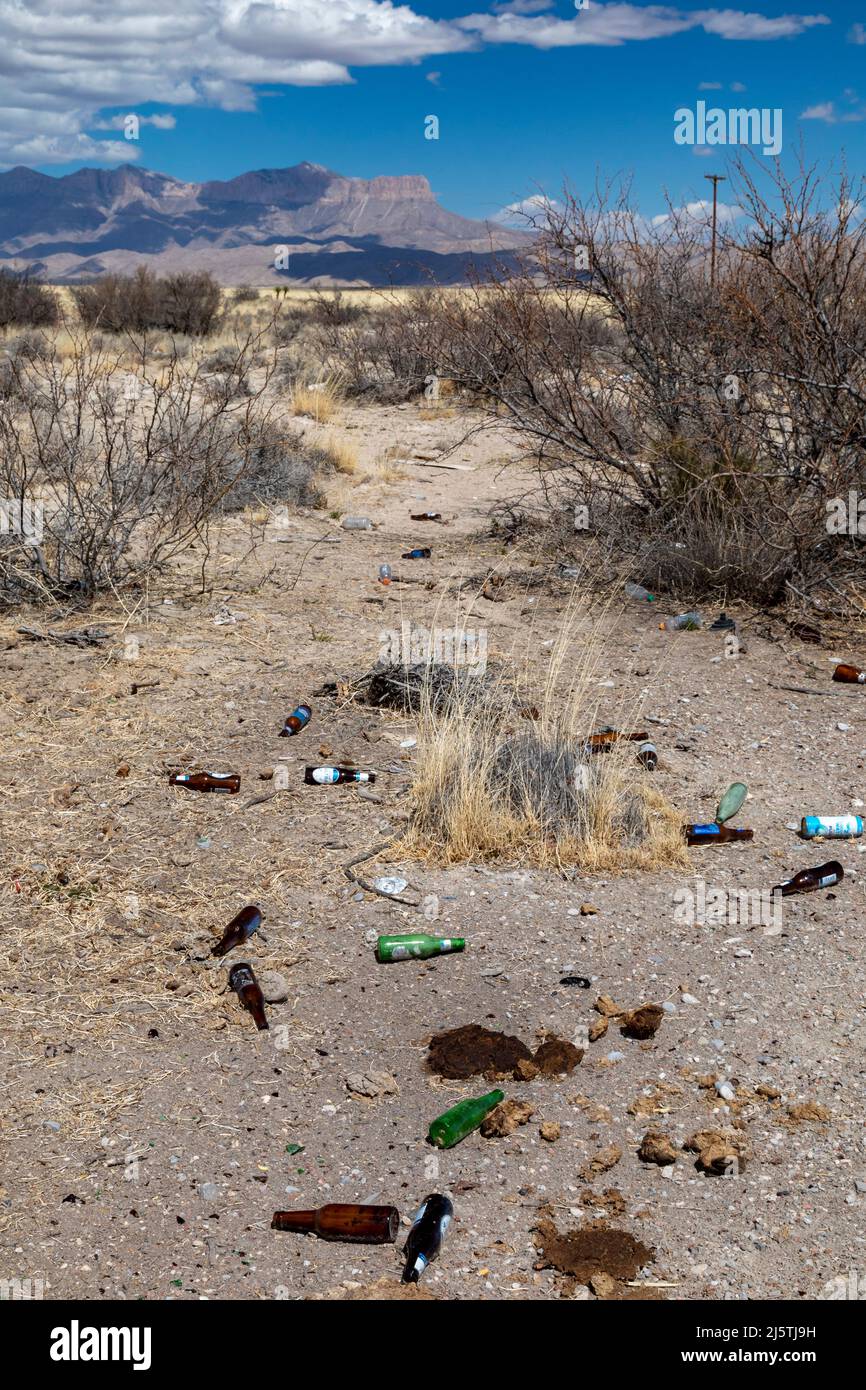 Pine Springs, Texas - Bierflaschen und anderer Müll, der in der Chihuahuan-Wüste in der Nähe des Guadalupe Mountains National Park weggeworfen wird. Stockfoto