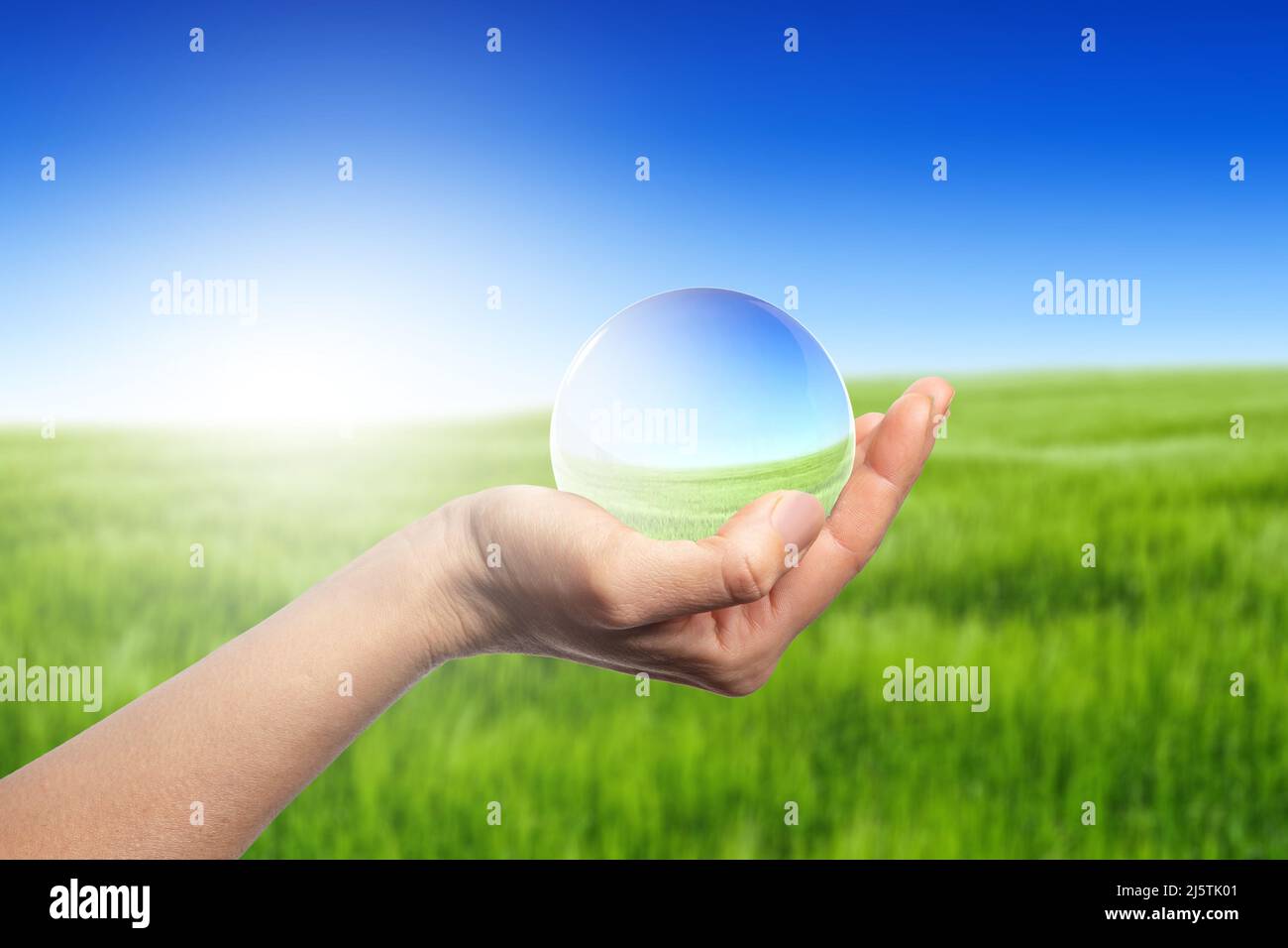 Hände halten Globenglas in grünem Gras Feld - Umwelt-Konzept Stockfoto