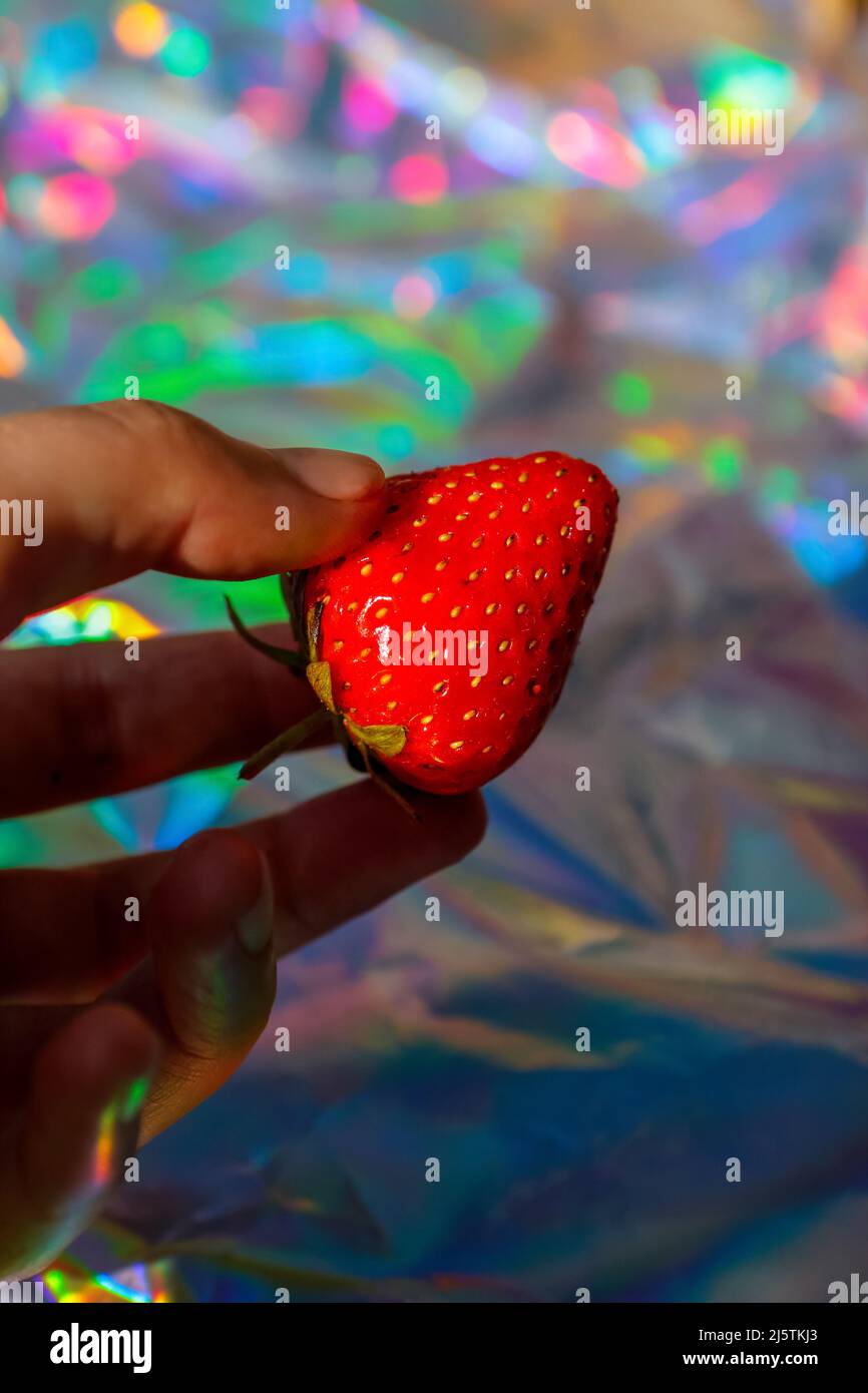 Unschärfe-Effekt bei Nahaufnahme Hand hält reife rote Erdbeere auf modernen Hologramm Hintergrund. Früchte und Beeren. Ernte- und Erntekonzept. Organisch. Verlauf. Aus Stockfoto