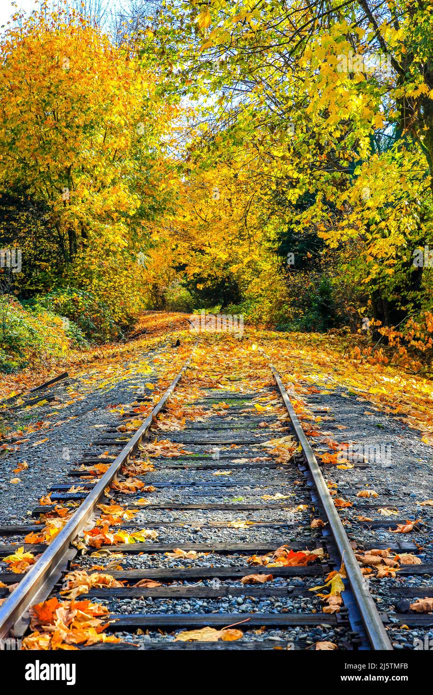 Der Herbst beginnt auf den Railroad Tracks Stockfoto