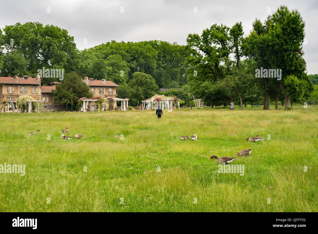 14. Mai 2020 in Lyon, Frankreich. Parc de la Tête d'Or (Gold des Parkkopfes) von Lyon. Stockfoto
