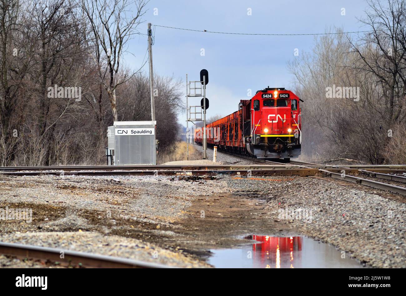 Elgin, Illinois, USA. Eine Lokomotive der Canadian National Railway spiegelt sich in stehendem Wasser wider, während sie einen Güterzug durch eine Kreuzung führt. Stockfoto