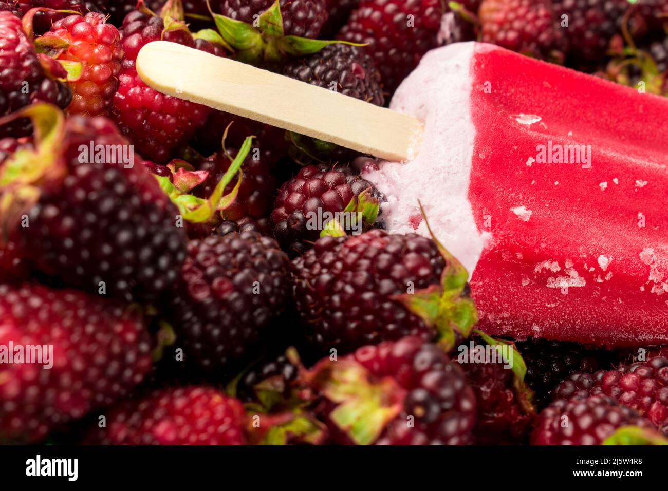 Rote gefrorene Brombeerpopsicle auf vielen Brombeeren Stockfoto