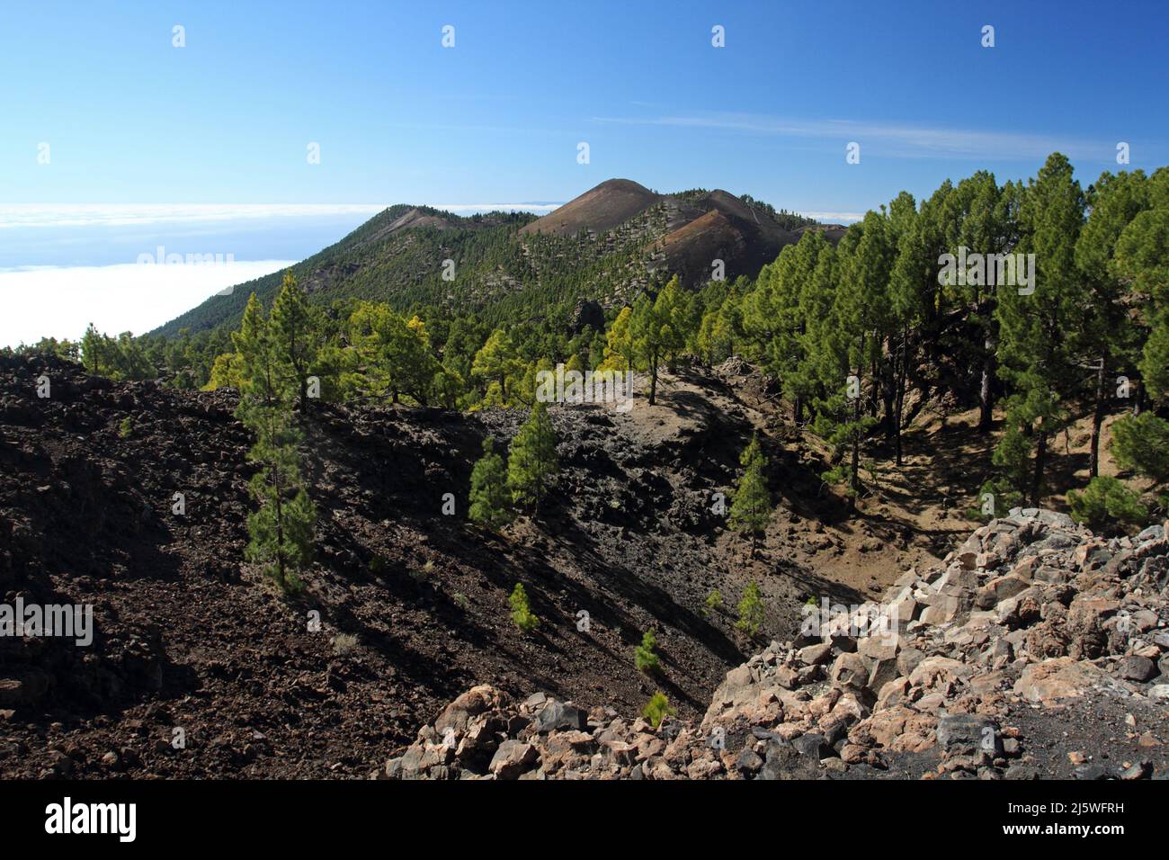 Schöne Lavalandschaft auf La Palma, Kanarische Inseln, Spanien Stockfoto
