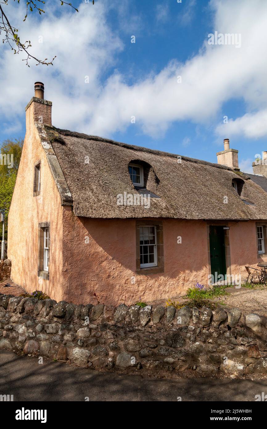 Traditionelles Reethaus im Dorf Fife in Collessie, Schottland Stockfoto