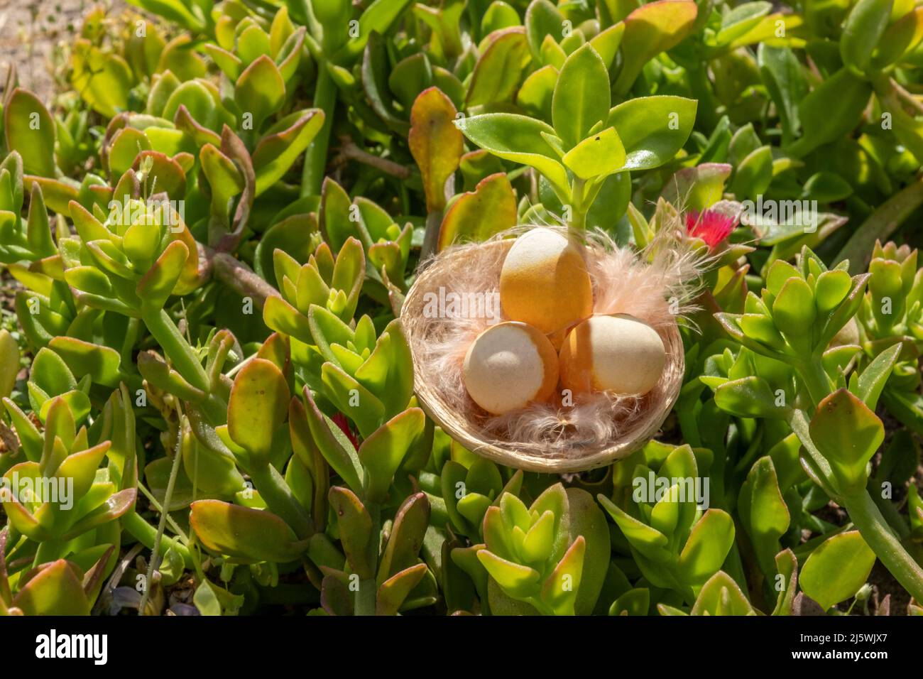 Frohe Ostern Feier Ornament Konzept: Drei Eier in einem Nest auf Blumenwiese Hintergrund. Farbenfrohes festliches Banner. Speicherplatz kopieren. Wunderschöne Postkarte Stockfoto