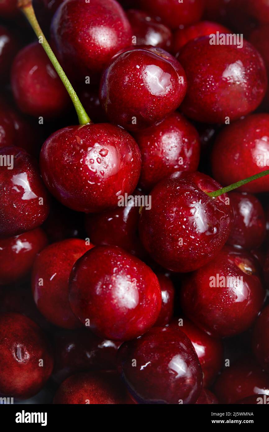 Nahaufnahme eines Pfahls von reifen Kirschen. Frische rote Kirschen. Reife Kirschen Hintergrund. Stockfoto