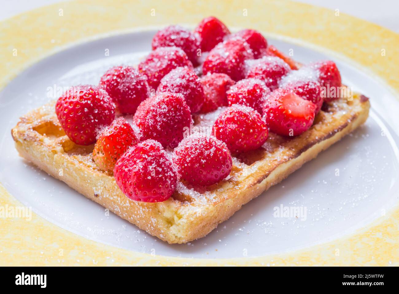 Warme belgische Waffel mit frischen Erdbeeren und Zuckerwulst auf einem Teller Stockfoto