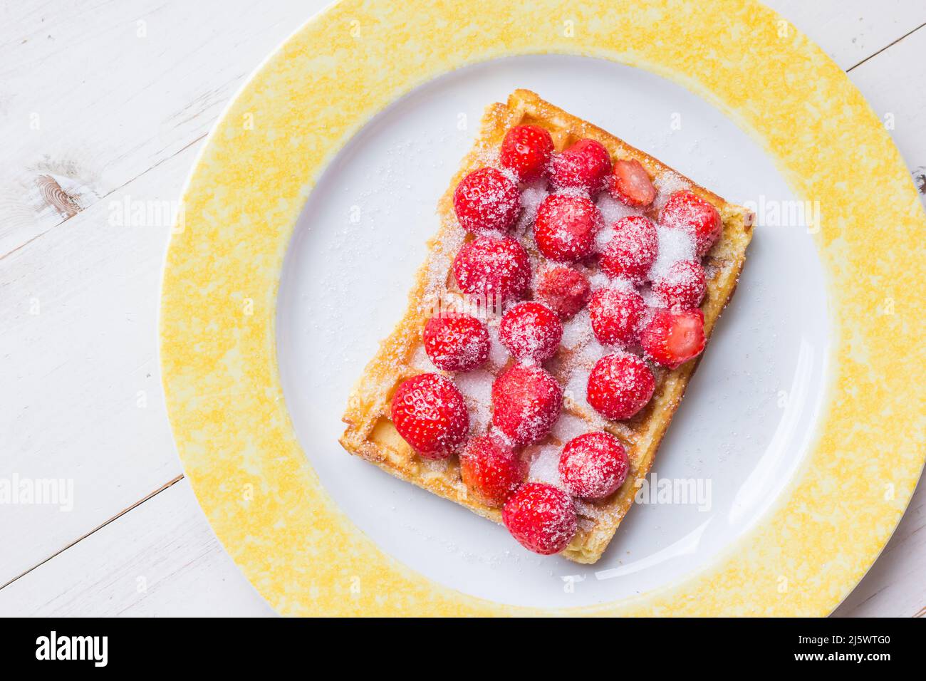 Warme belgische Waffel mit frischen Erdbeeren und Suger auf einem Teller mit Kopierfläche Stockfoto
