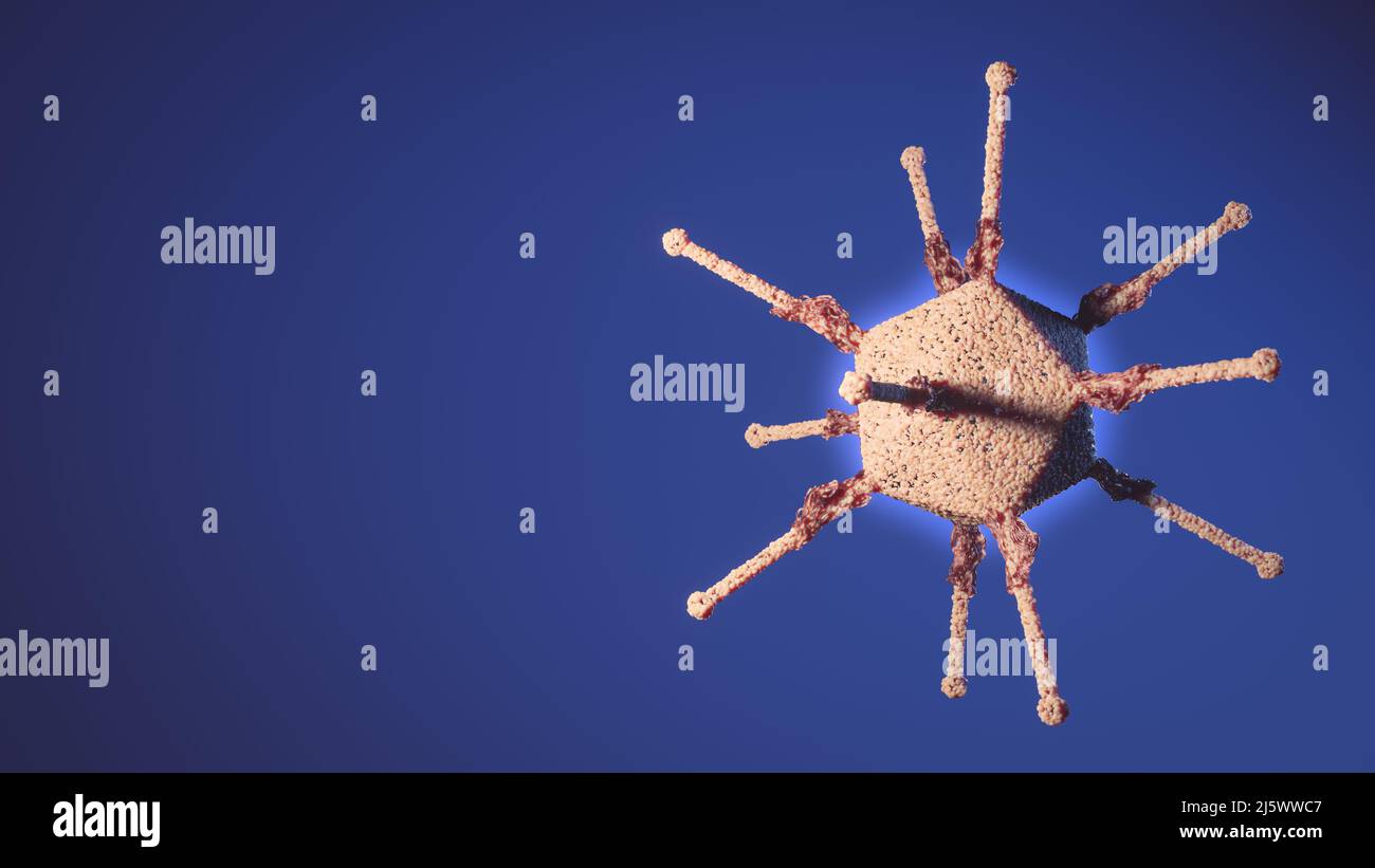 Adenovirus verursacht Hepatitis bei Kindern menschliches Adenovirus-Modell. Struktur des Adenoviridae virion: pentonbasis, Nukleokapsid mit DNA-Genom, Caps Stockfoto