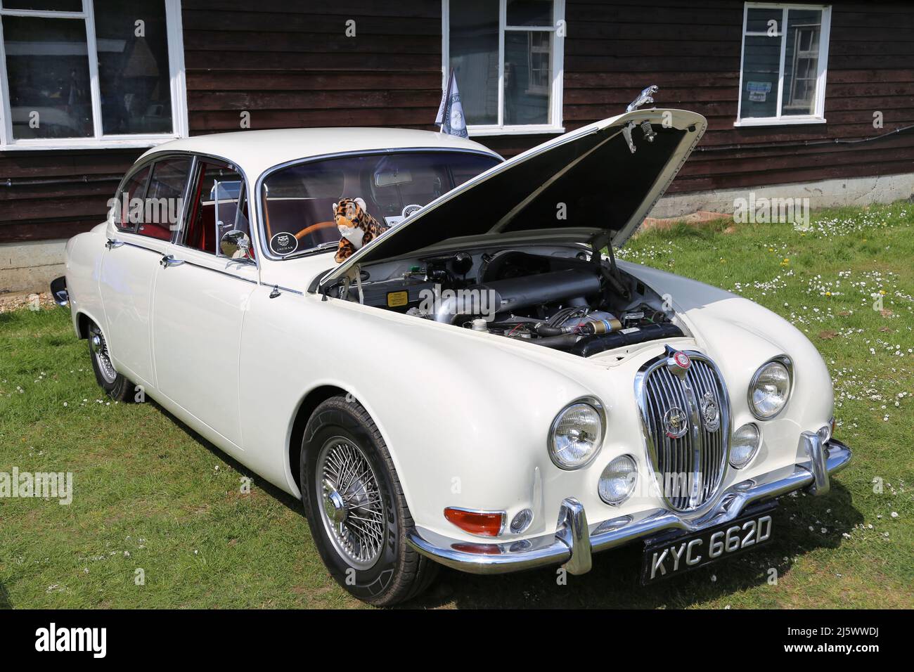 Jaguar Mk2 3,8 (1966), British Marques Day, 24. April 2022, Brooklands Museum, Weybridge, Surrey, England, Großbritannien, Großbritannien, Europa Stockfoto