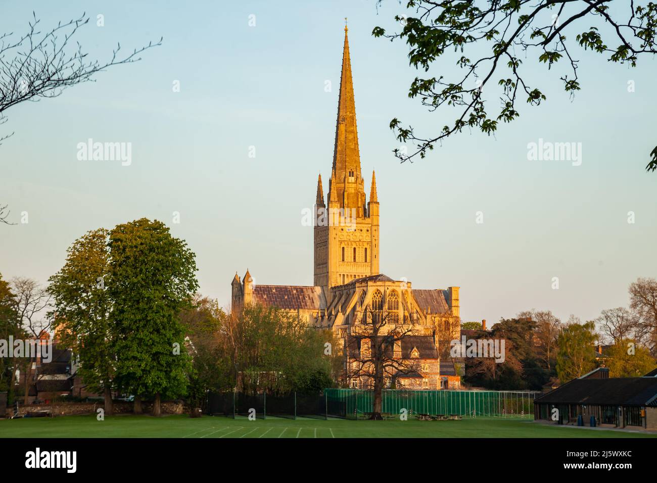 Frühlingsmorgen in der Norwich Cathedral, Norfolk, England. Stockfoto