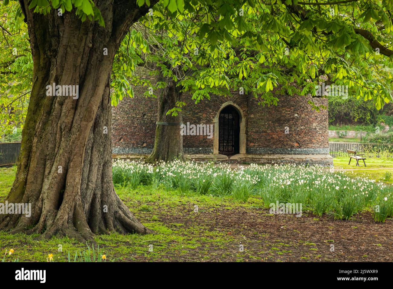 Frühlingsmorgen im Cow Tower in Norwich, Norfolk, England. Stockfoto