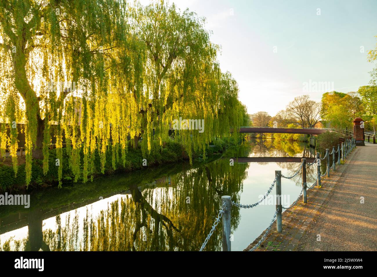 Frühlingsaufgang auf dem Fluss Wensum in Norwich, Norfolk, England. Stockfoto