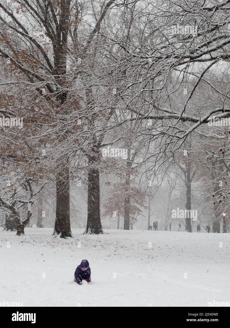 Central Park in Snow zur Weihnachtszeit nach einem Wintersturm. New York City Schnee im Winter. NYC, USA Stockfoto