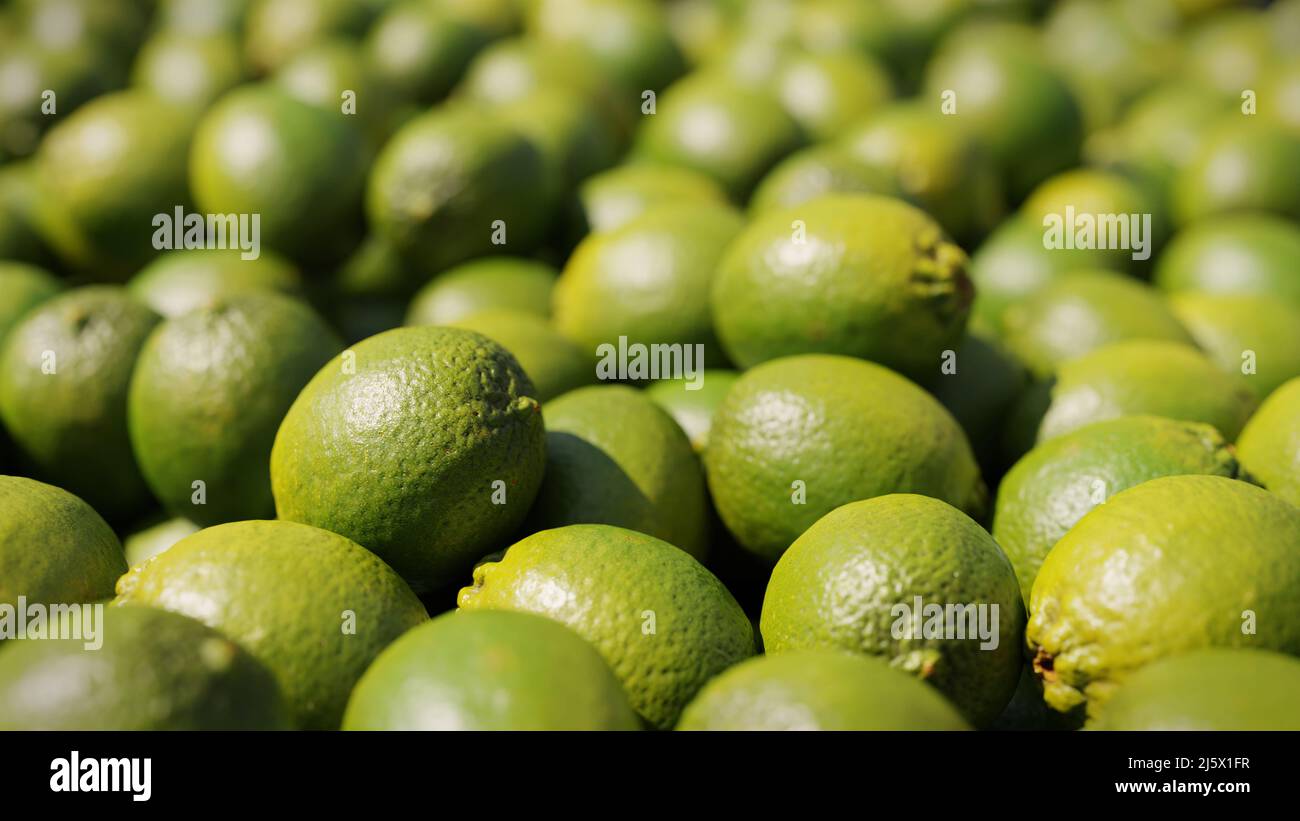 Limetten, saftige Zitrusfrüchte Hintergrund Stockfoto