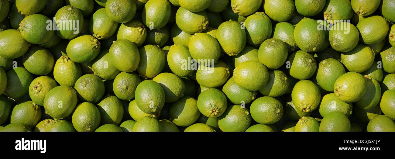 Limetten, saftige Zitrusfrüchte Hintergrund Stockfoto