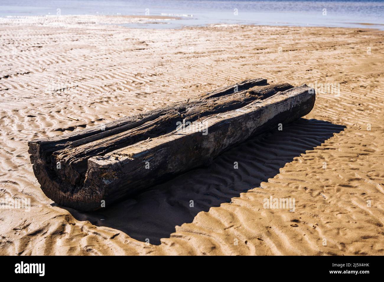 Am Ufer der Bucht liegt ein verwitterter, durchnäster Baumstamm auf dem Sand Stockfoto