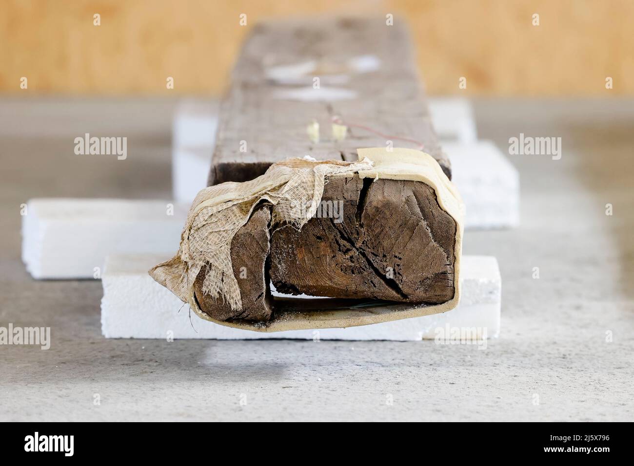 26. April 2022, Schleswig-Holstein, Jübeck: In einer Lagerhalle der Archäologischen Zentralwerkstatt im Kreis Schleswig-Flensburg liegt eine etwa 1600 Jahre alte Holzsäule. Die Funde gehören zu Grabkammern, die 2005 in Poprad-Matejovce in der Slowakei entdeckt wurden. Das Landesmuseum Schloss Gottorf in Schleswig beteiligte sich gemeinsam mit Wissenschaftlern aus sieben europäischen Ländern an der Erhaltung des Holzes. Der einzigartige Grabbeistand stammt aus dem späten Jahr 370s n. Chr. Chr., also im Übergang zwischen der römischen Kaiserzeit und der frühen Migrationsperiode. Foto: Frank Molter/dpa Stockfoto