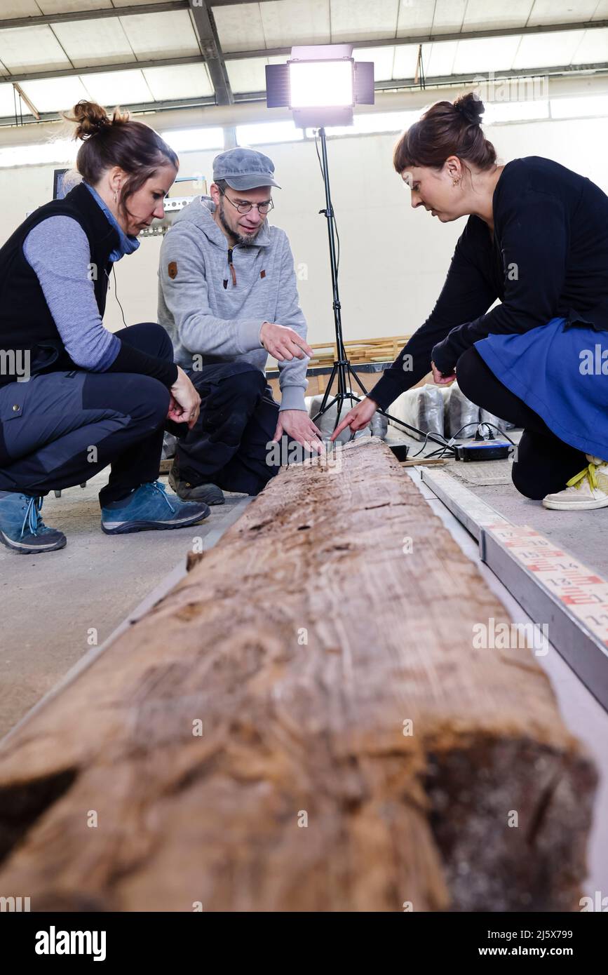 26. April 2022, Schleswig-Holstein, Jübeck: Tereza Stolcova (l-r), Wissenschaftlerin am Archäologischen Institut in Nitra, Slowakei, spricht mit den Archäologen Janosch Willers und Nina Lau vom Landesmuseum in Schleswig über eine rund 1600 Jahre alte Holzsäule. Der Fund gehört zu den Grabkammern, die 2005 in Poprad-Matejovce, Slowakei, entdeckt wurden. Das Landesmuseum Schloss Gottorf in Schleswig beteiligte sich gemeinsam mit Wissenschaftlern aus sieben europäischen Ländern an der Erhaltung des Holzes. Der Grabbeistand gehört zum späten 370s n. Chr. Die Grabfunde stammen aus der späten Zeit Stockfoto