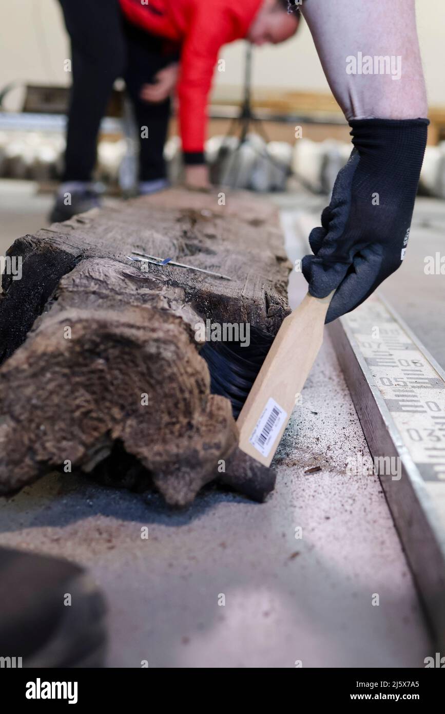 26. April 2022, Schleswig-Holstein, Jübeck: Mitarbeiter des Landesmuseums Schloss Gottorf in Schleswig reinigen eine rund 1600 Jahre alte Holzsäule. Der Fund gehört zu den Grabkammern, die 2005 in Poprad-Matejovce in der Slowakei entdeckt wurden. Das Landesmuseum Schloss Gottorf in Schleswig beteiligte sich gemeinsam mit Wissenschaftlern aus sieben europäischen Ländern an der Erhaltung des Holzes. Der Grabbeistand gehört zum späten 370s n. Chr. Die Grabfunde stammen aus dem späten Jahr 370s n. Chr., d.h. aus dem Übergang zwischen der römischen Kaiserzeit und der frühen Völkerwanderungszeit. Foto: Frank Mol Stockfoto