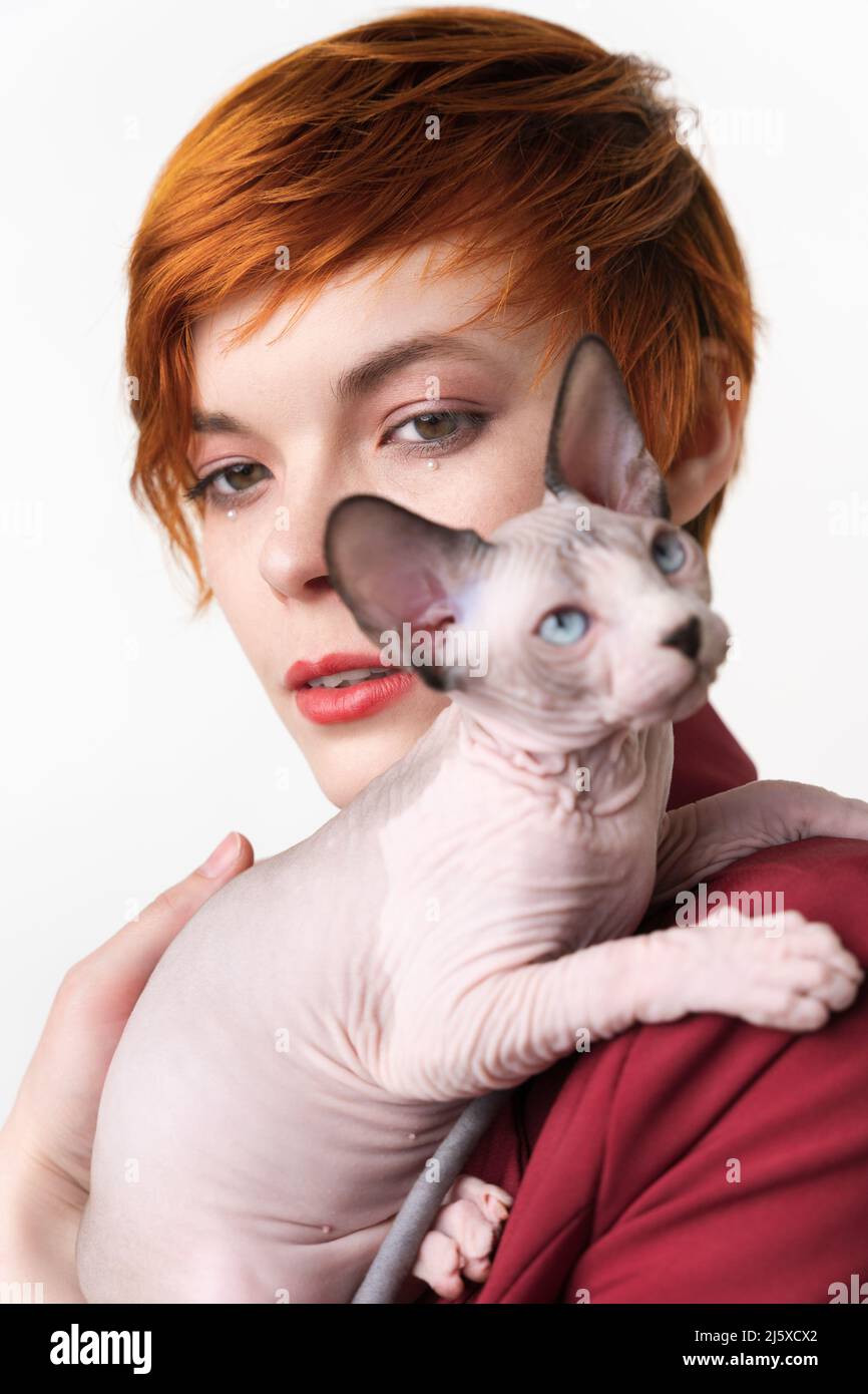 Die Kanadierin Sphynx Cat schaut weg und sitzt auf der Schulter einer rothaarige junge Frau. Selektiver Fokus auf heimische, haarlose Jungtiere im Vordergrund Stockfoto