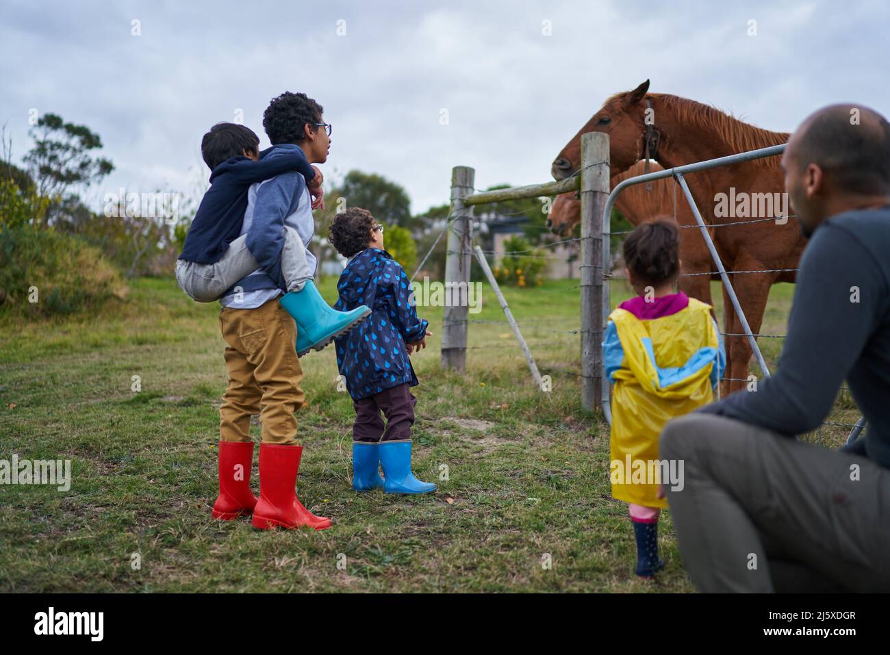 Neugierige Kinder beobachten Pferde am Zaun Stockfoto