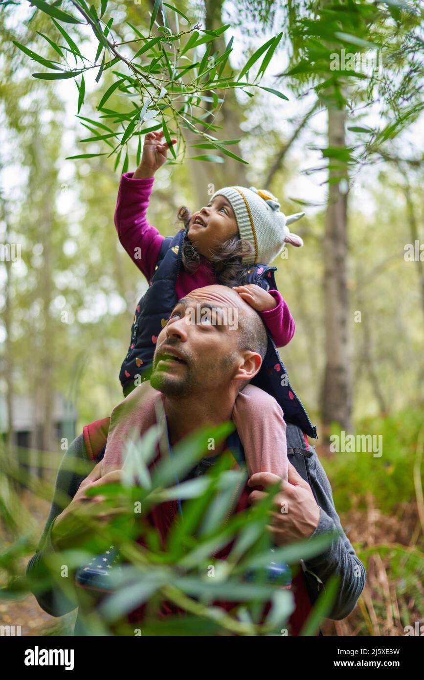 Vater, der die Tochter auf den Schultern unter dem Ast in den Wäldern trägt Stockfoto