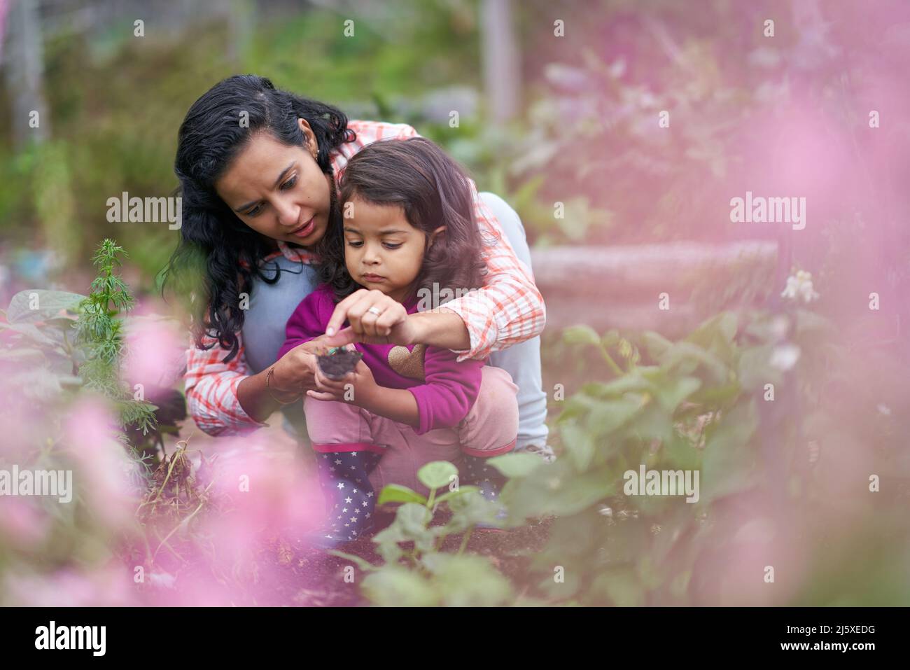 Mutter und Kleinkind Tochter im Garten Stockfoto