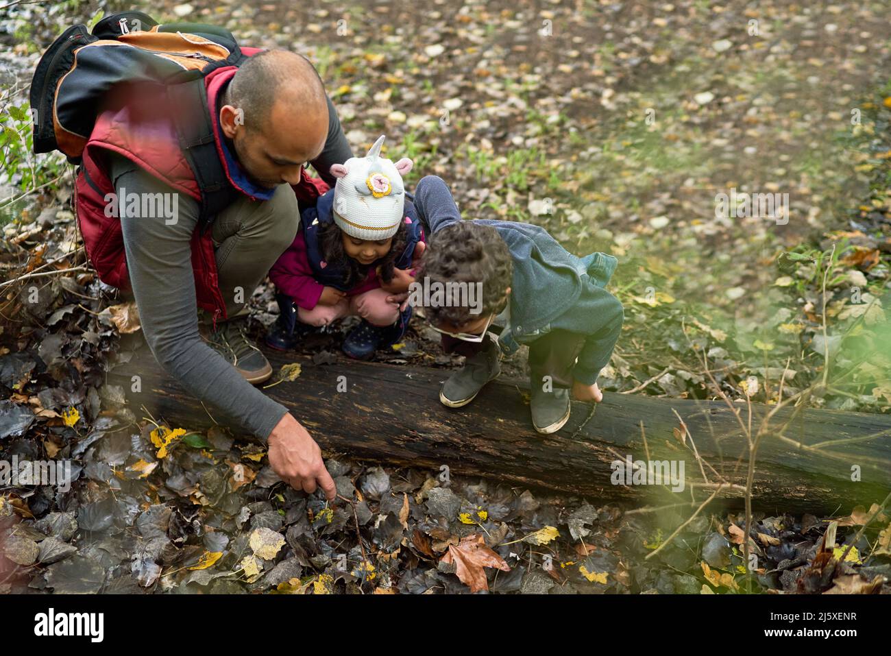 Vater und neugierige Kinder wandern im Wald Stockfoto