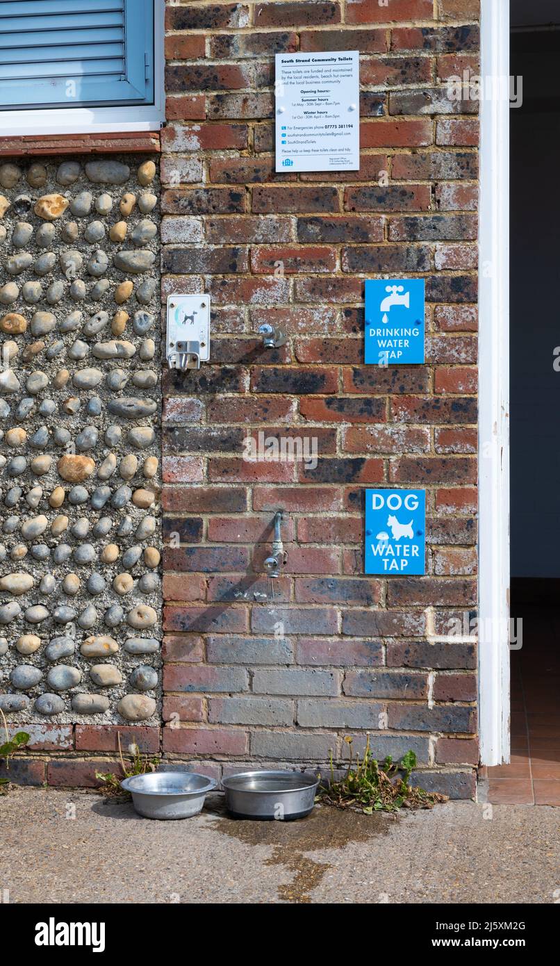 Trinkwasserhähne für Menschen und Hunde vor einer öffentlichen Toilette in England, Großbritannien. Wasserhahn für Hunde. Doggy Wasserhahn. Stockfoto