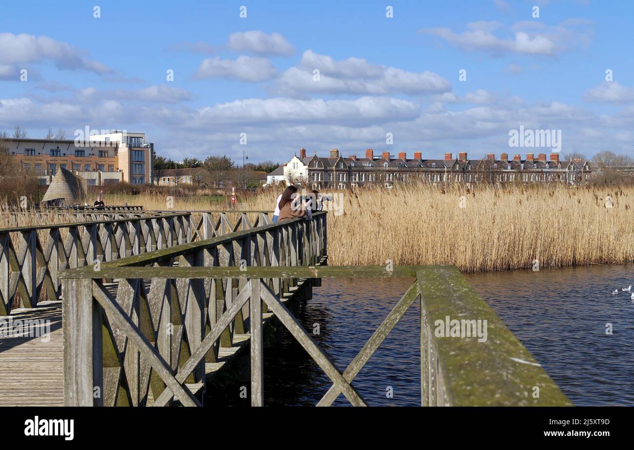 Vogelbeobachter und Fotografen im Cardiff Bay Wetland Reserve, Cardiff Bay. Frühjahr 2022. April Stockfoto