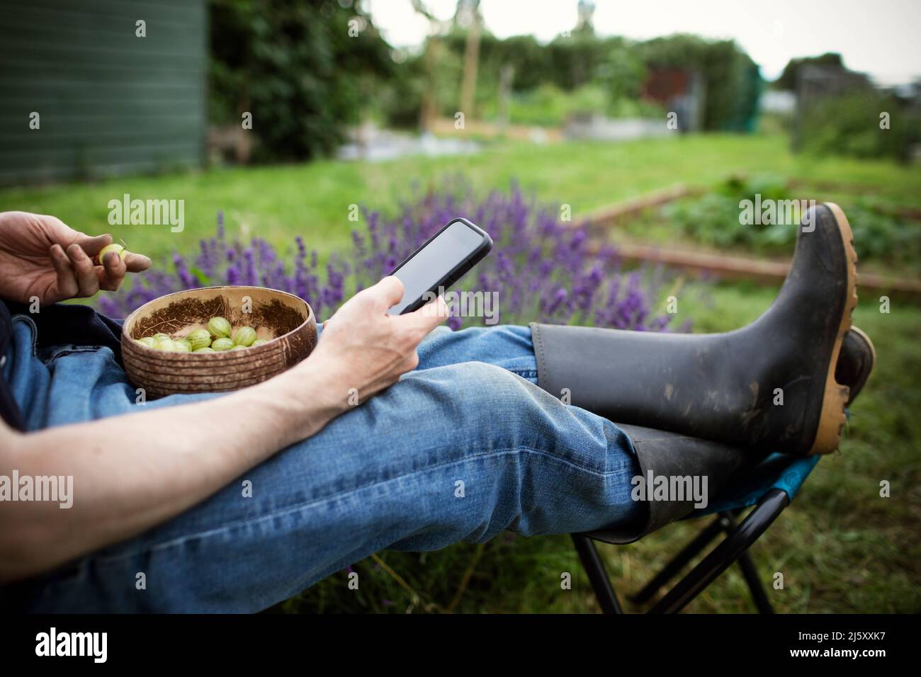 Mann, der Stachelbeeren isst und Smartphone im Garten benutzt Stockfoto