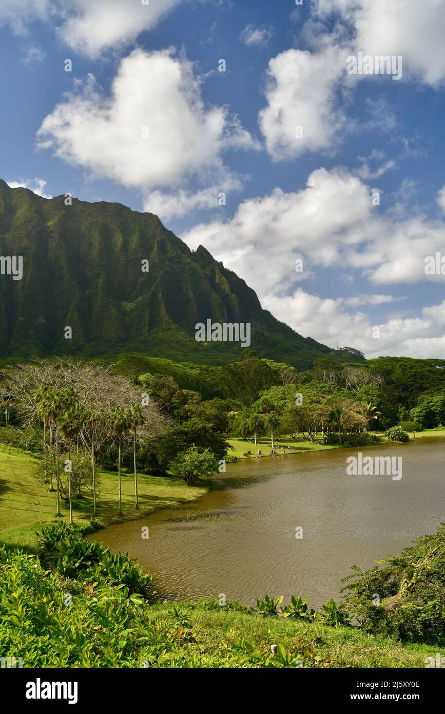 Blick auf die Berge und den Süßwassersee vom Ho’omaluhia Botanical Garden auf der Insel Oahu, Kaneohe, Hawaii, USA Stockfoto