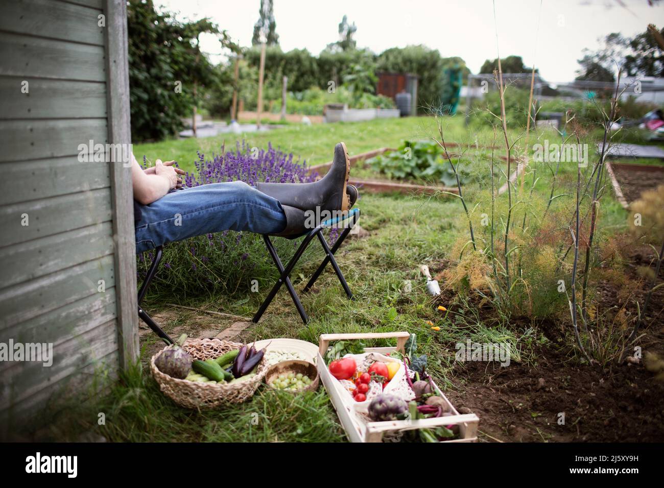 Mann entspannt sich mit den Füßen im Garten neben geerntetem Gemüse Stockfoto