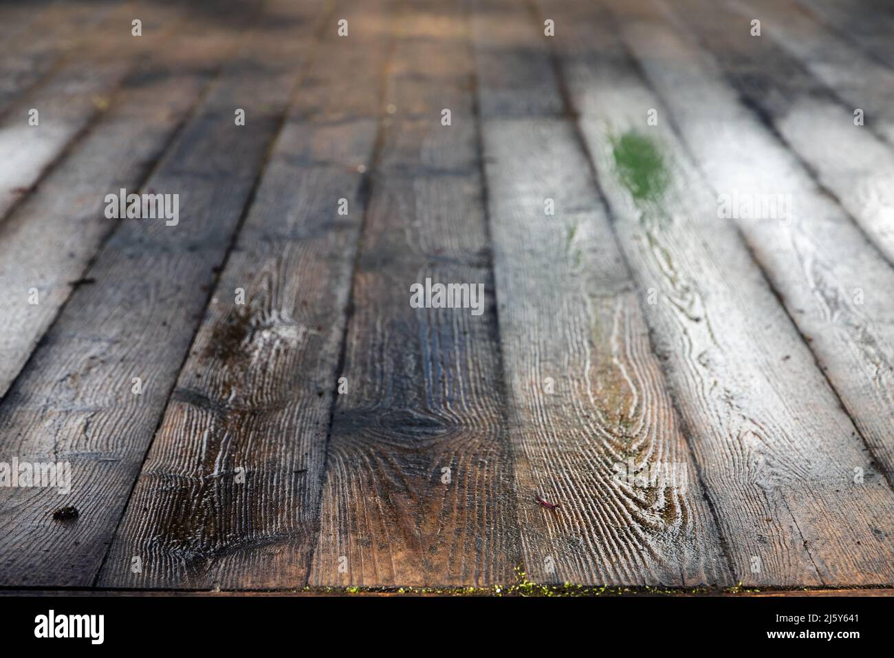 Alter nasser Holzboden, grungiges Hintergrundbild mit perspektivischem Effekt und selektiver Weichheit auf einem Vordergrund Stockfoto