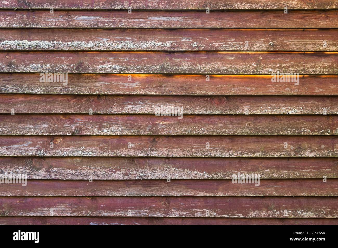 Alte rote grungige Holzwand mit Flechten auf verwitterten Brettern, Hintergrund Foto Textur Stockfoto