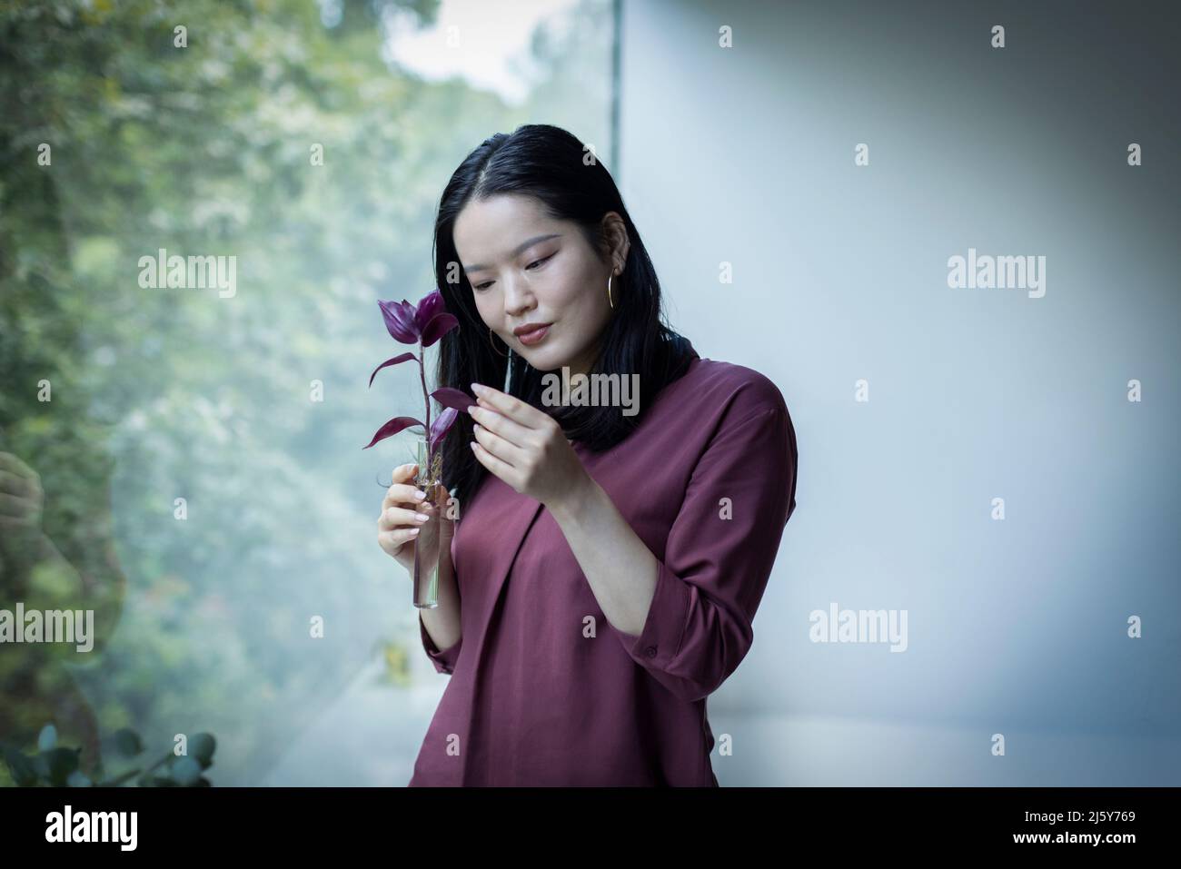 Junge Frau, die im Fenster auf das Pflanzenblatt schaut Stockfoto