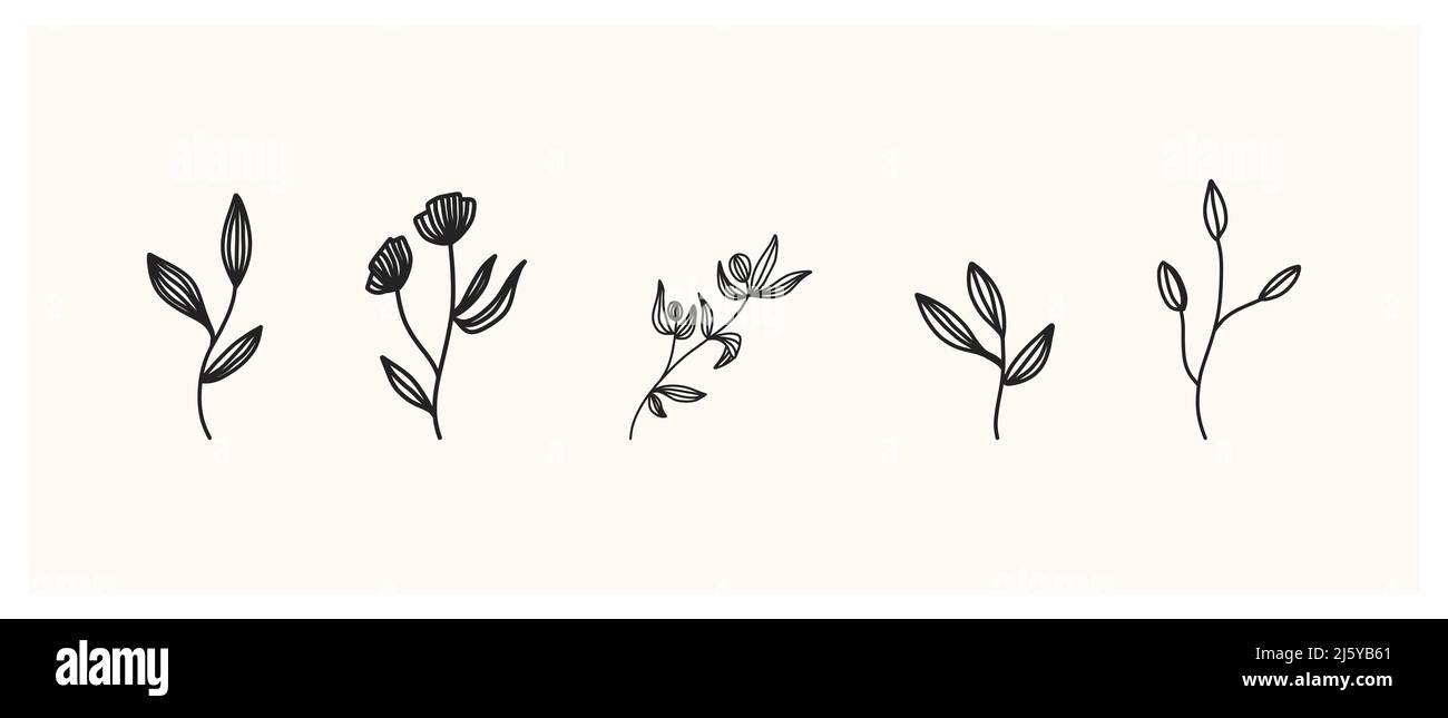 Set aus Kräutern und Wildblumen. Handgezeichnete florale Elemente. Vektorgrafik Stockfoto