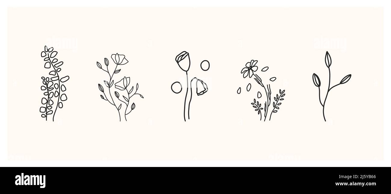Set aus Kräutern und Wildblumen. Handgezeichnete florale Elemente. Vektorgrafik Stockfoto