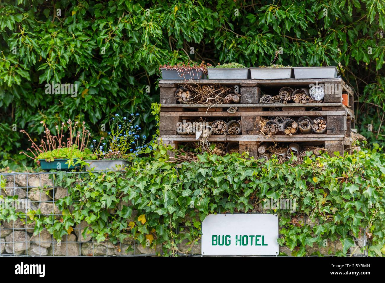 Bug Hotel. Der Mensch machte eine Umgebung, um Insekten zu locken, um Zuflucht zu nehmen Stockfoto