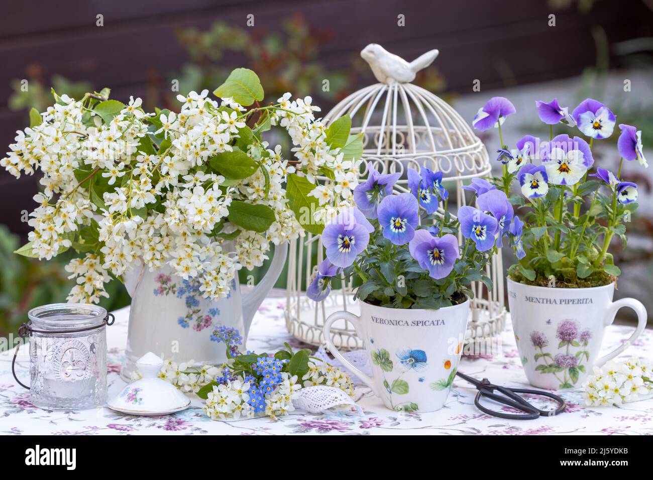 Romantisches Arrangement mit Viola-Blumen und Blumenstrauß aus Vogelkirschen Stockfoto