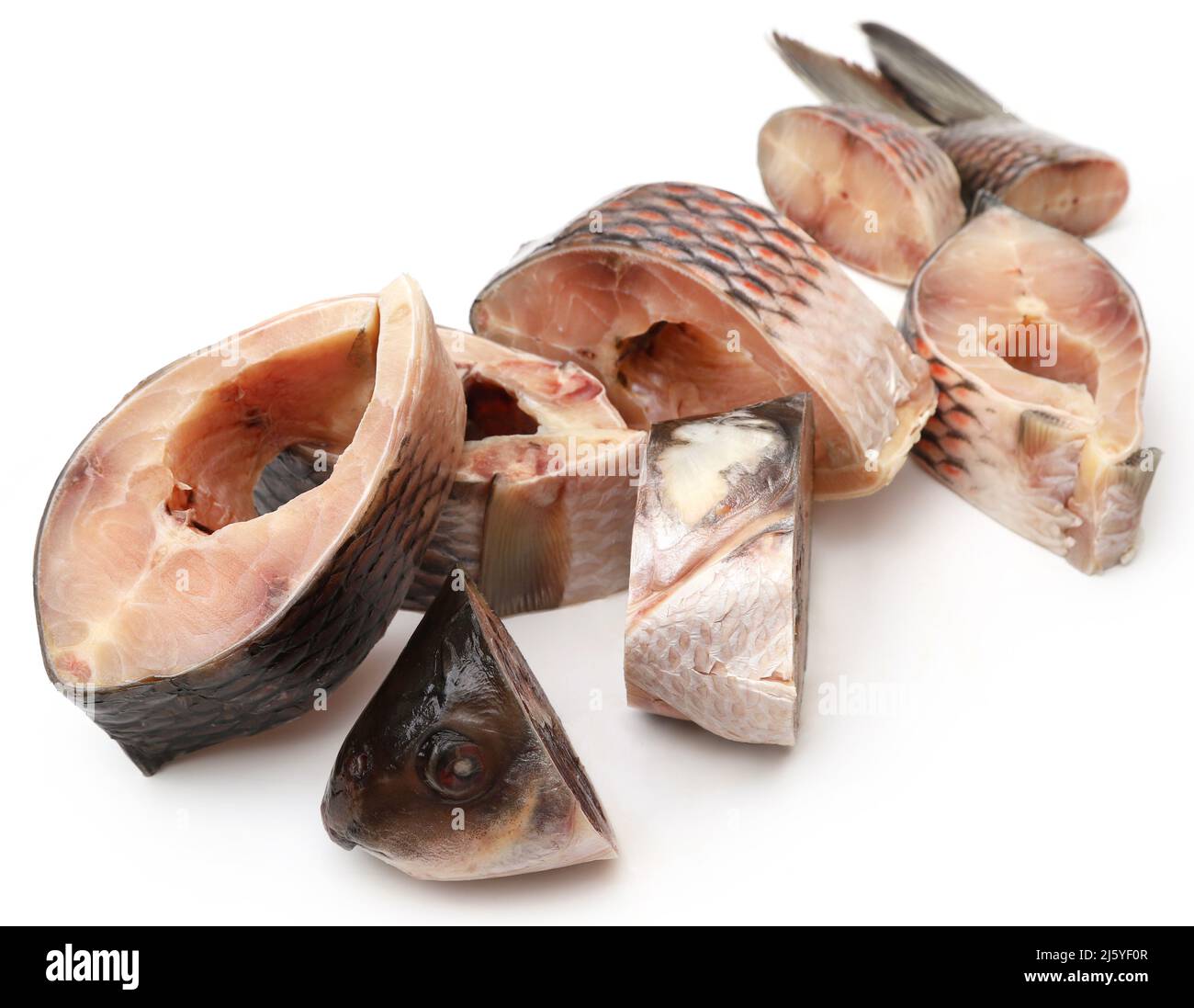 Beliebter Rohu-Fisch auf weißem Hintergrund geschnitten Stockfoto