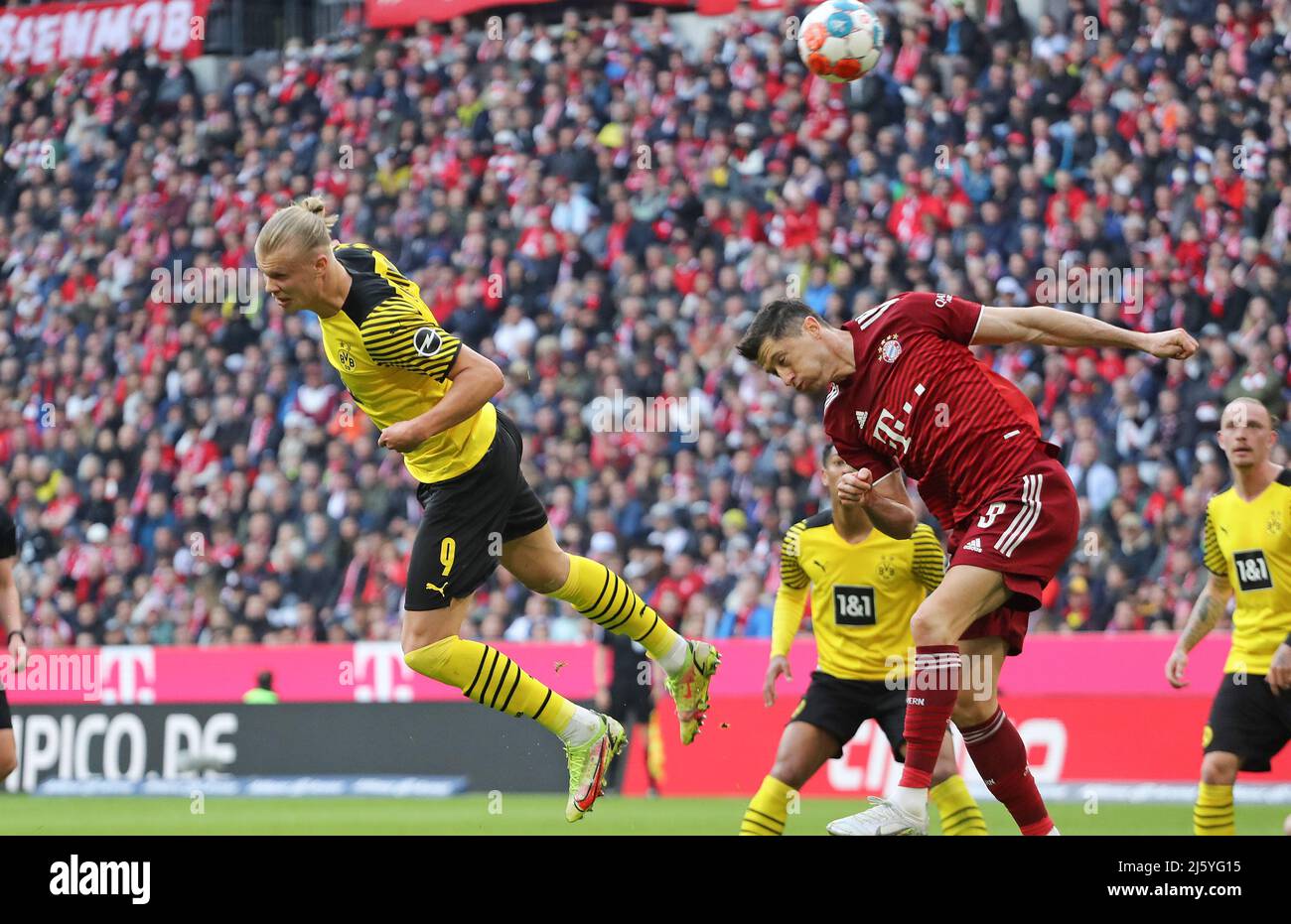 Erling Haaland von Borussia Dortmund gegen Robert Lewandowski von Bayern  München München, Deutschland 23.4.2022 FC